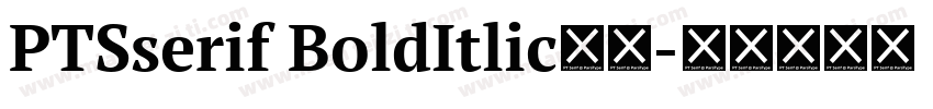 PTSserif BoldItlic字体字体转换